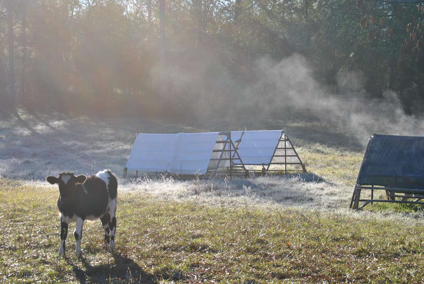 Gan Eden Farms Hipcamp in Live Oak, Florida