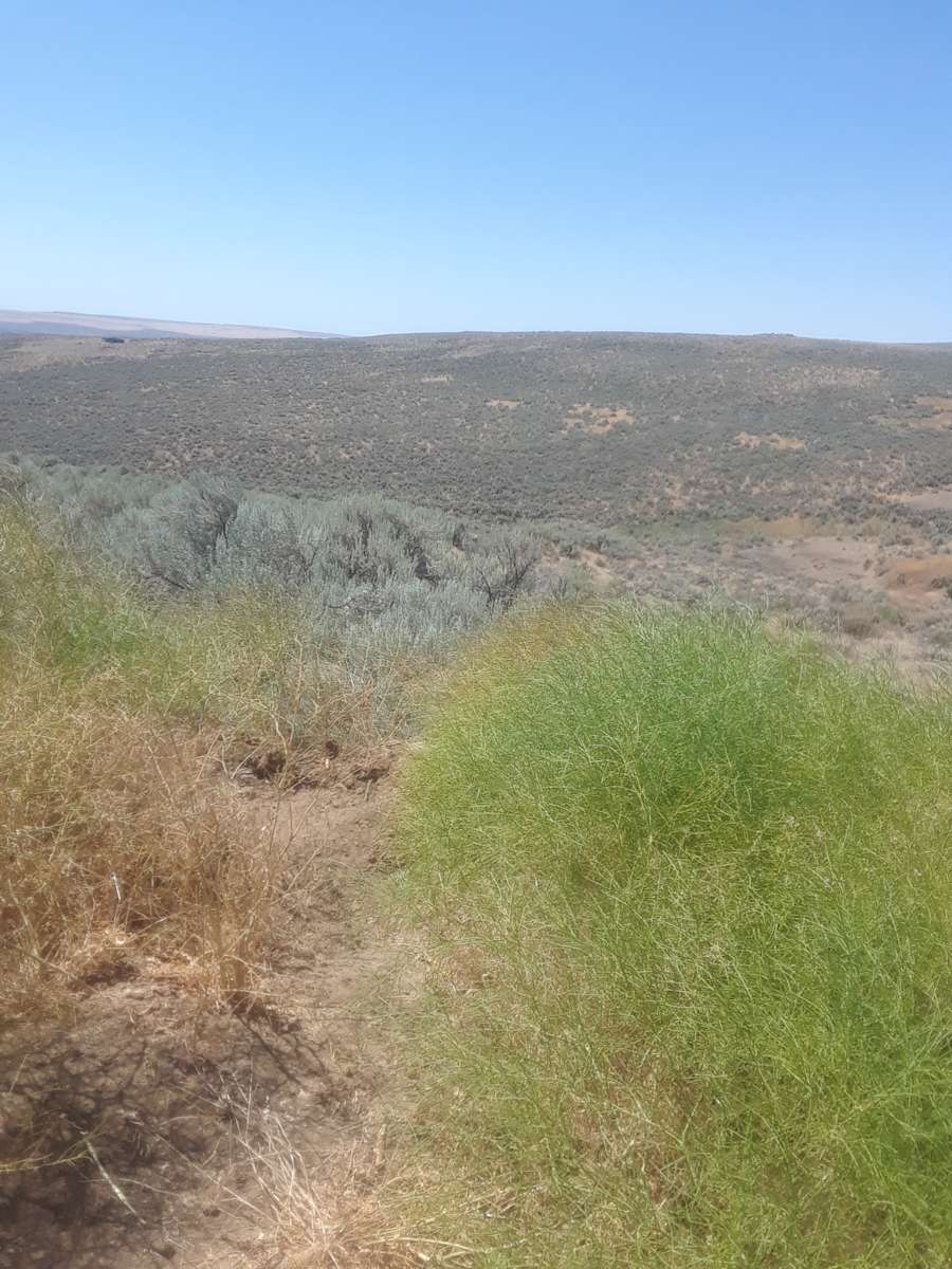 Mike H.’s Land Hipcamp in Coulee City, Washington