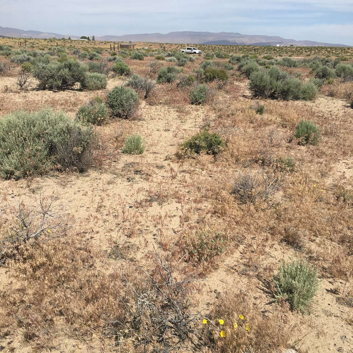 Lahontan Escape Hipcamp in Silver Springs, Nevada