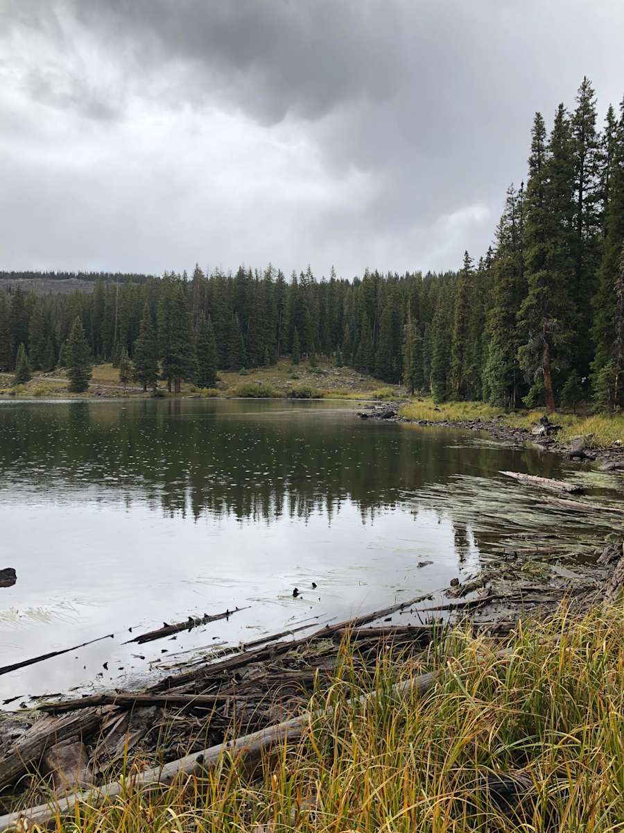 Cobbett Lake Campground Grand Mesa Co 1 Hipcamper Review And 4 Photos