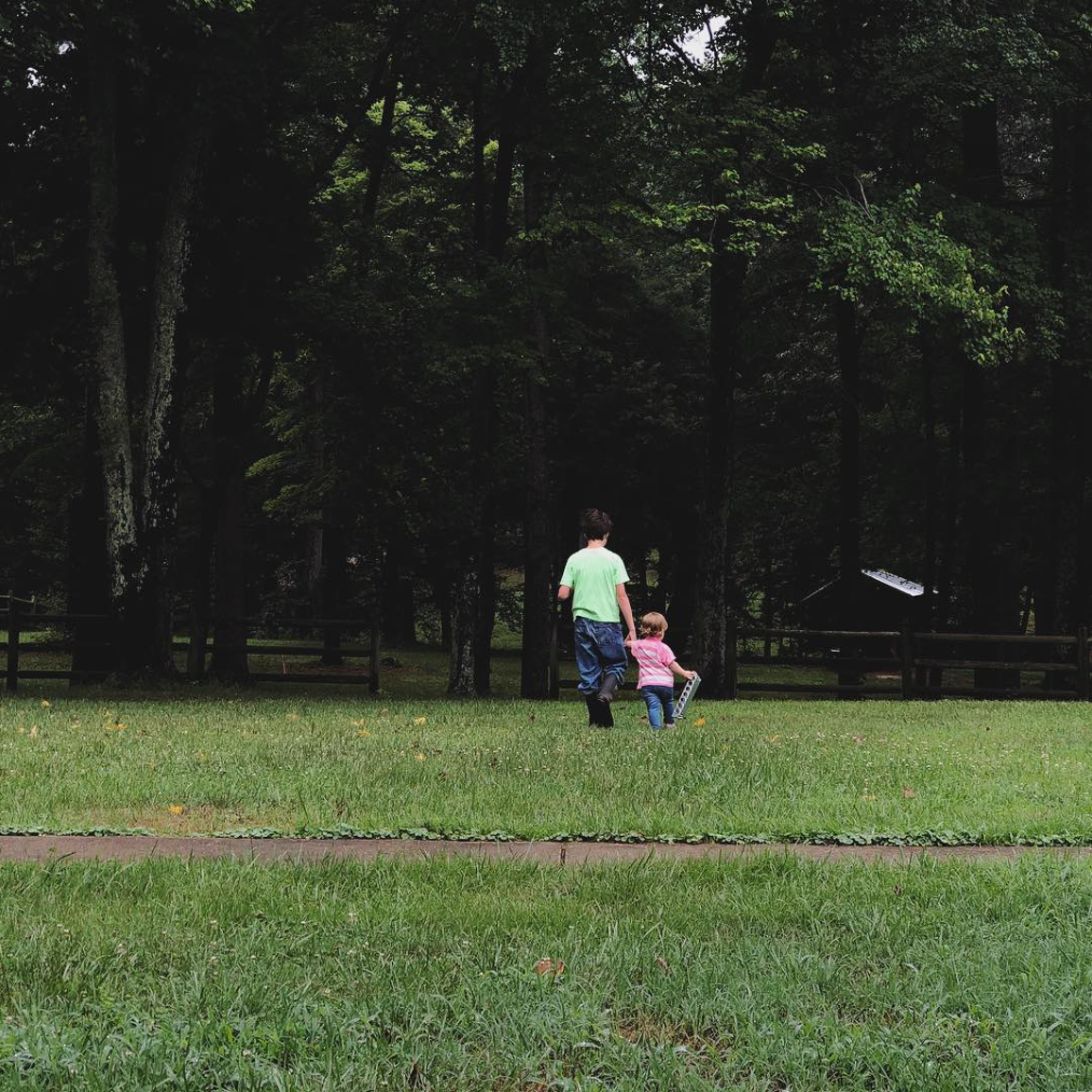 One Tree Lane Hipcamp in Fredericksburg, Virginia
