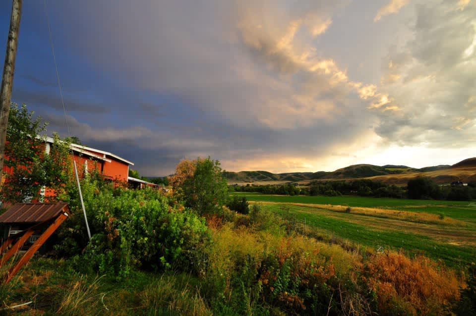 Paradise Valley Orchard Hipcamp in Paradise, Utah