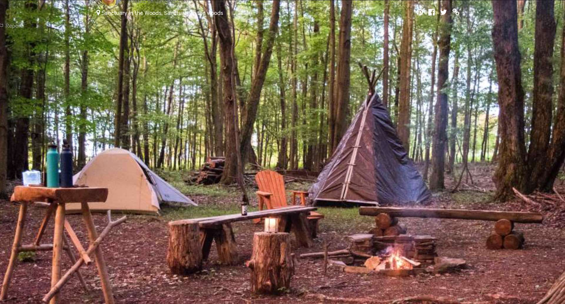 Sanctuary in the woods tent camp Hipcamp in Newfield New York