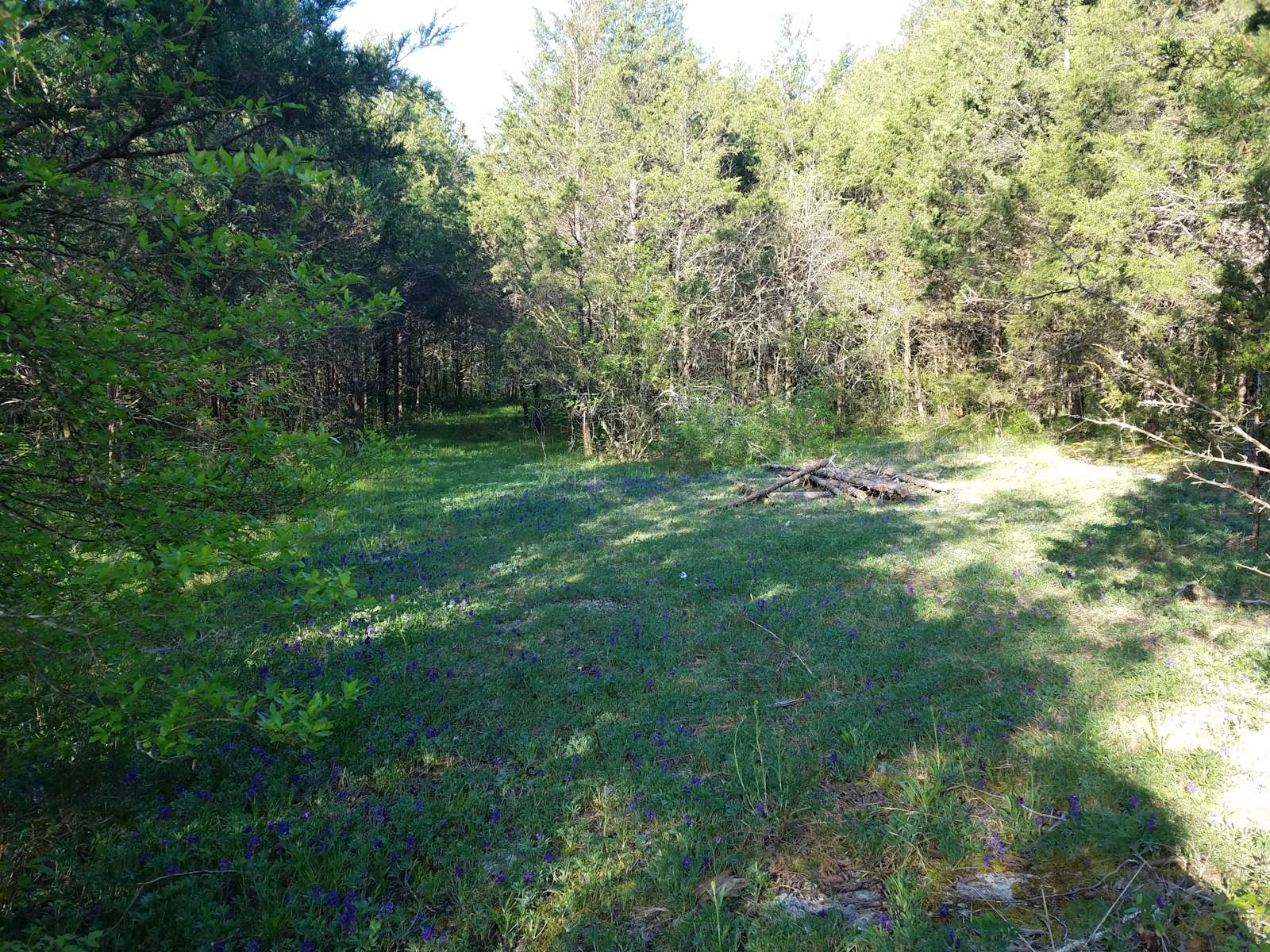 Step Back in Time:  A Journey Through Tennessee's Cedar Glade Wonderland