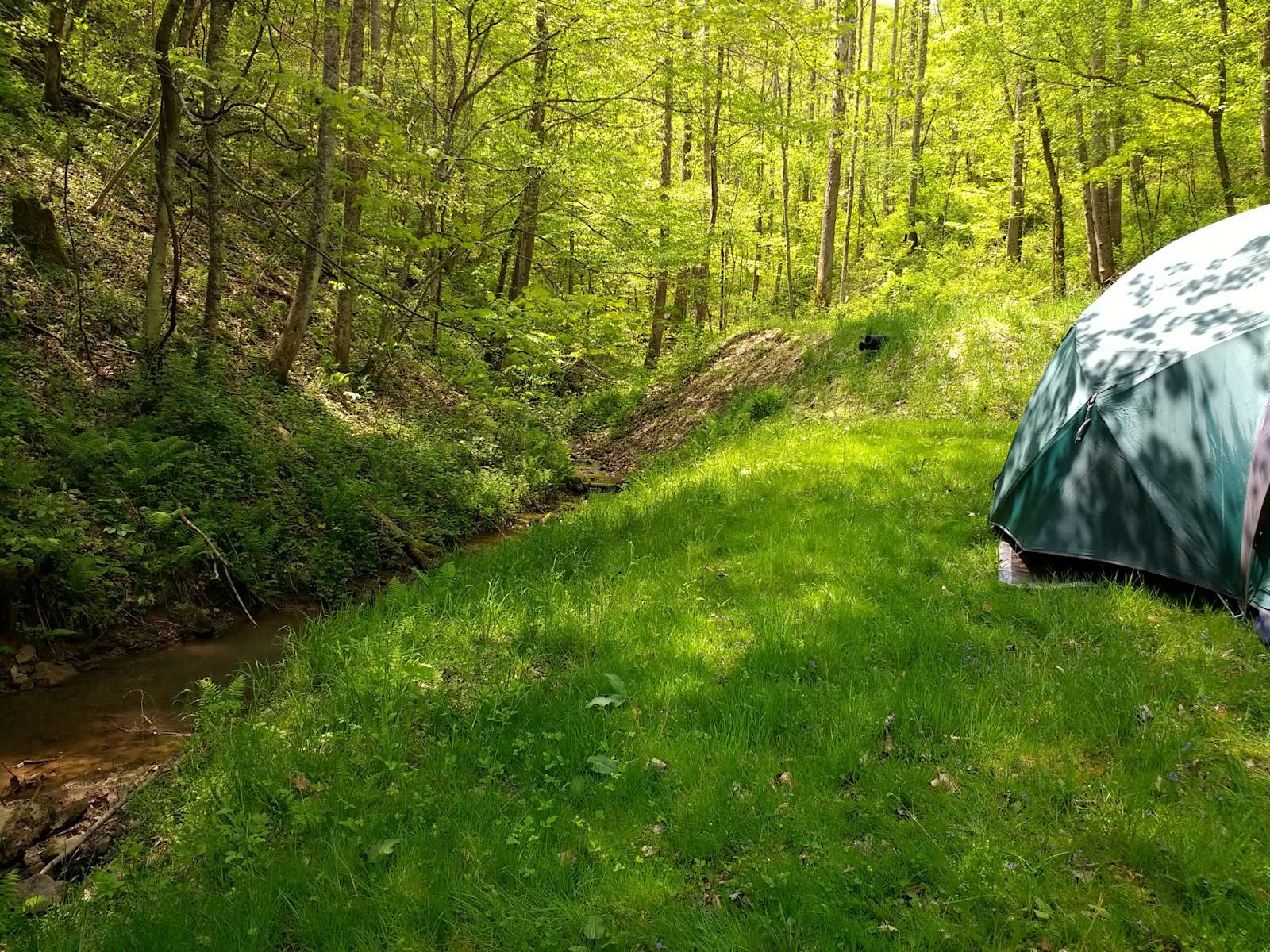 30 Best Campgrounds In West Virginia