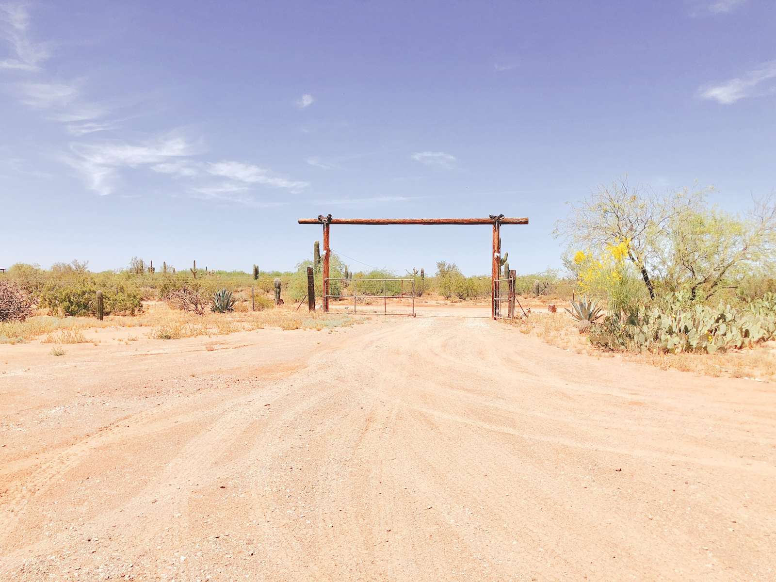 Sunshine Ranch - Hipcamp in Tucson, Arizona