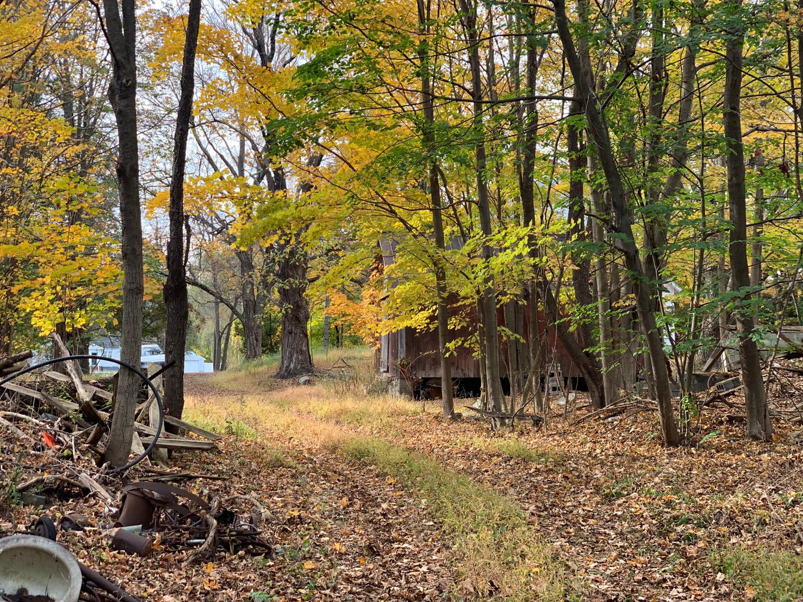 Beautiful Camp Ground with Pond Hipcamp in Walden, New York