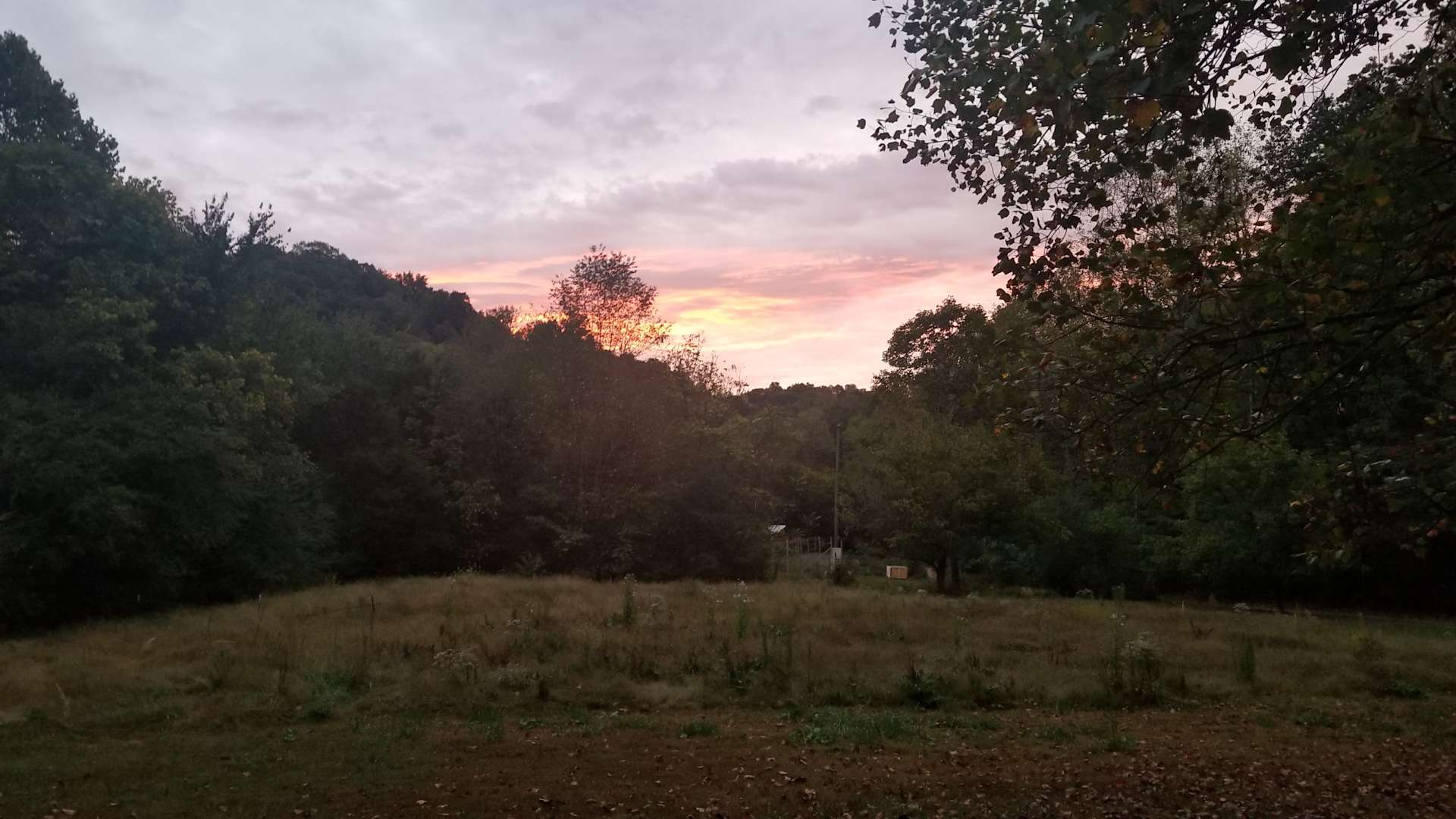 Quail Canyon Farm - Hipcamp in Whites Creek, Tennessee