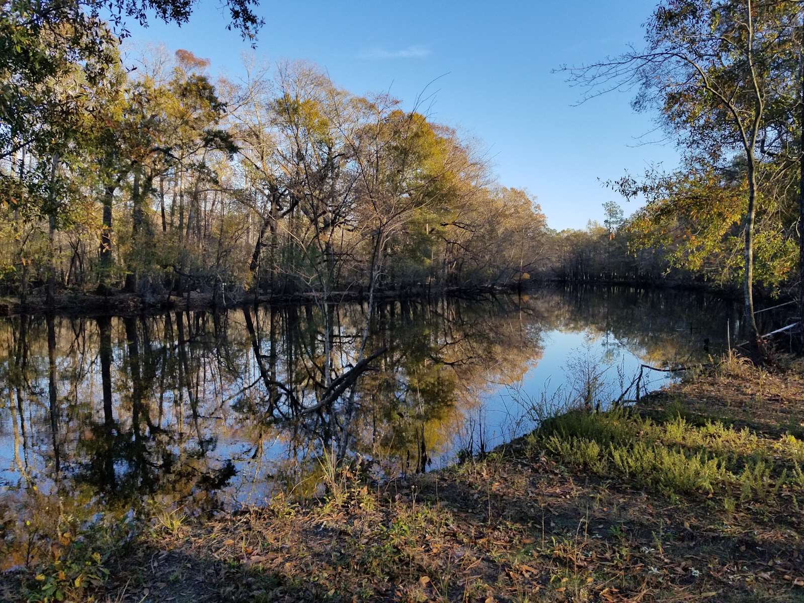 Black River Camping Ventures Hipcamp in Ivanhoe, North Carolina