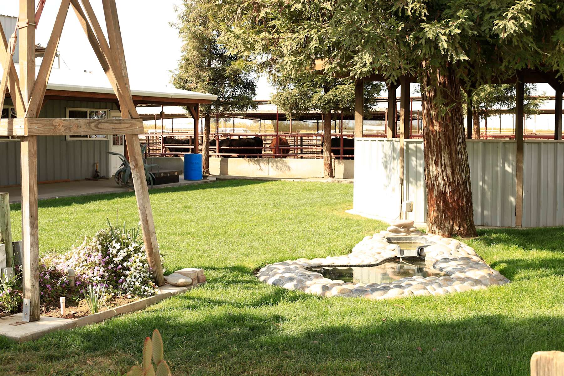 Cowboy Land & Livestock - Hipcamp in Dinuba, California