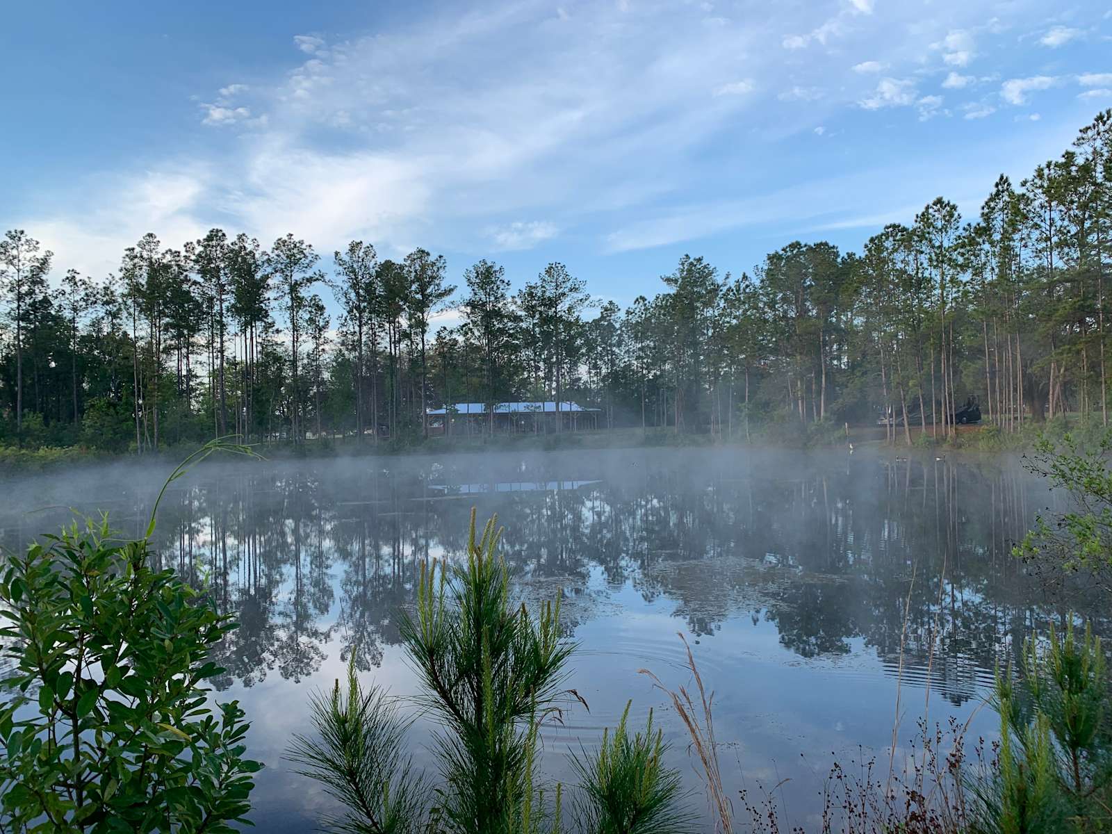 Eden Gardens Jax Hipcamp in Jacksonville, Florida