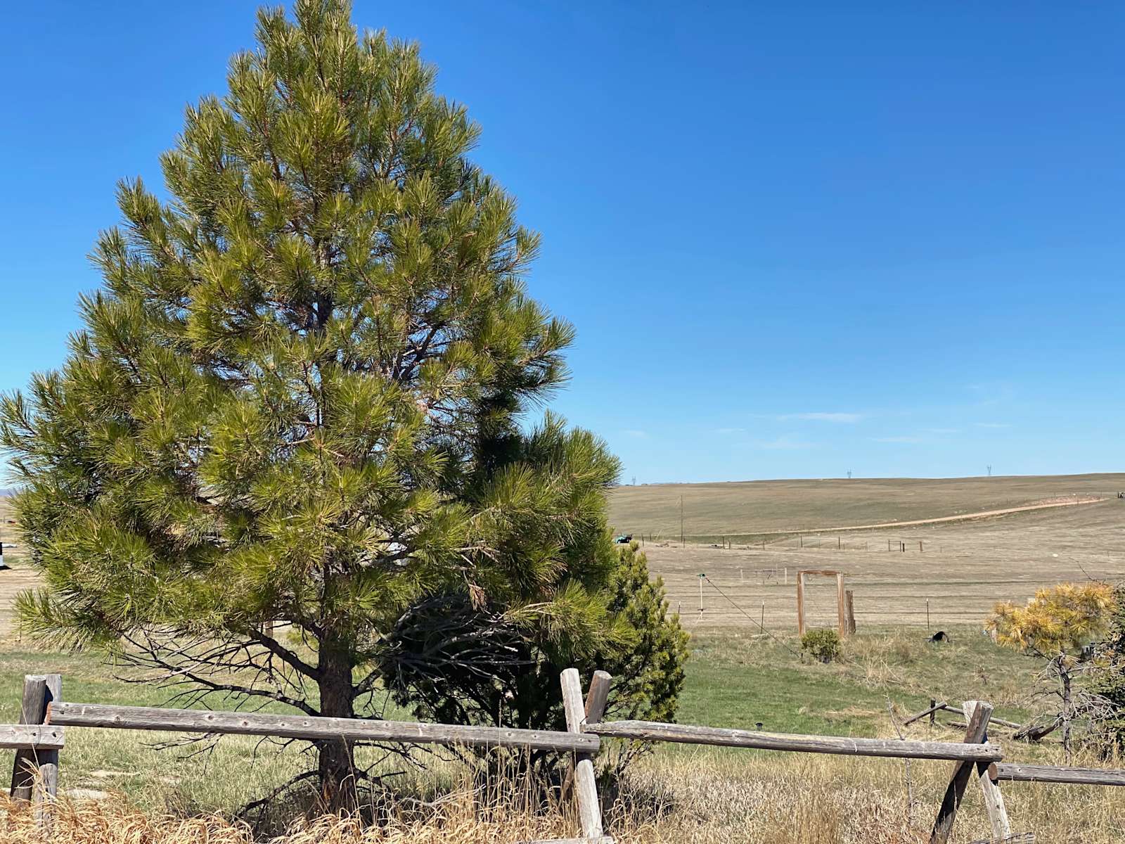 Cara S.’s Land Hipcamp in Cheyenne, Wyoming