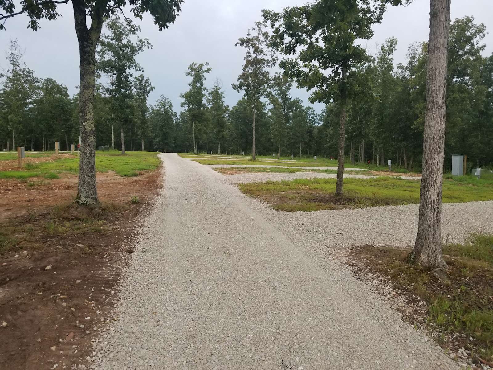 Flying W Store & Camping LLC Hipcamp in Jadwin, Missouri