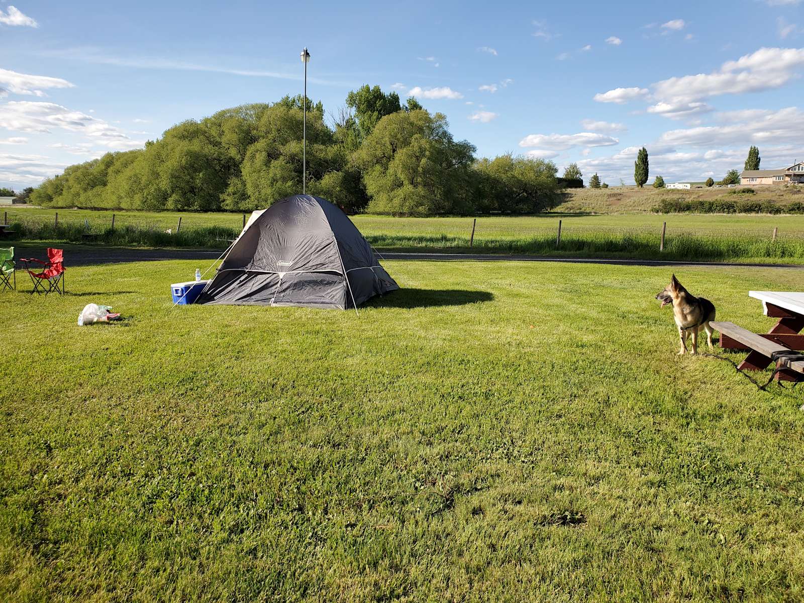 Country Lane Campground & RV Pa Hipcamp in Wilbur, Washington