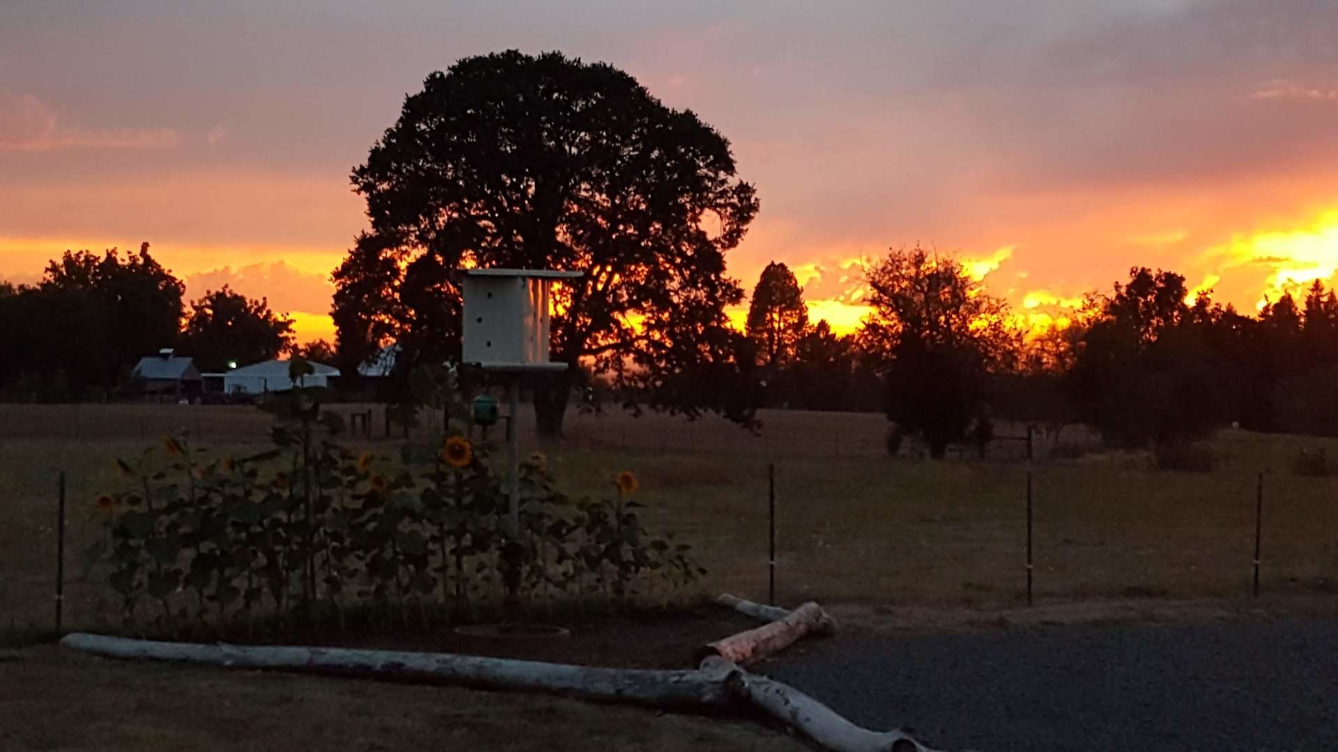 Grange Hall Gardens Hipcamp in Molalla, Oregon