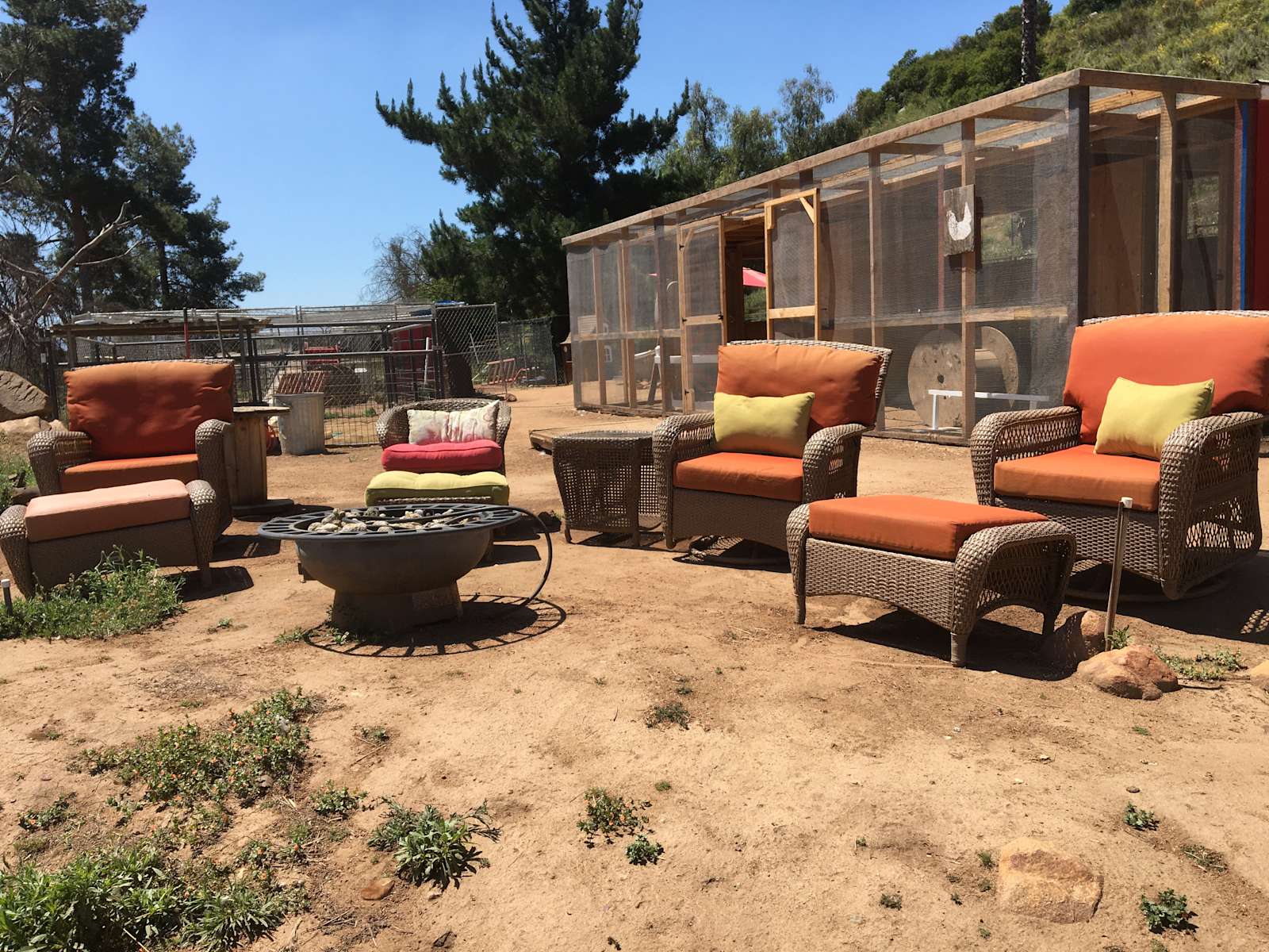 2 The Rescue Animal Sanctuary - Photo 2