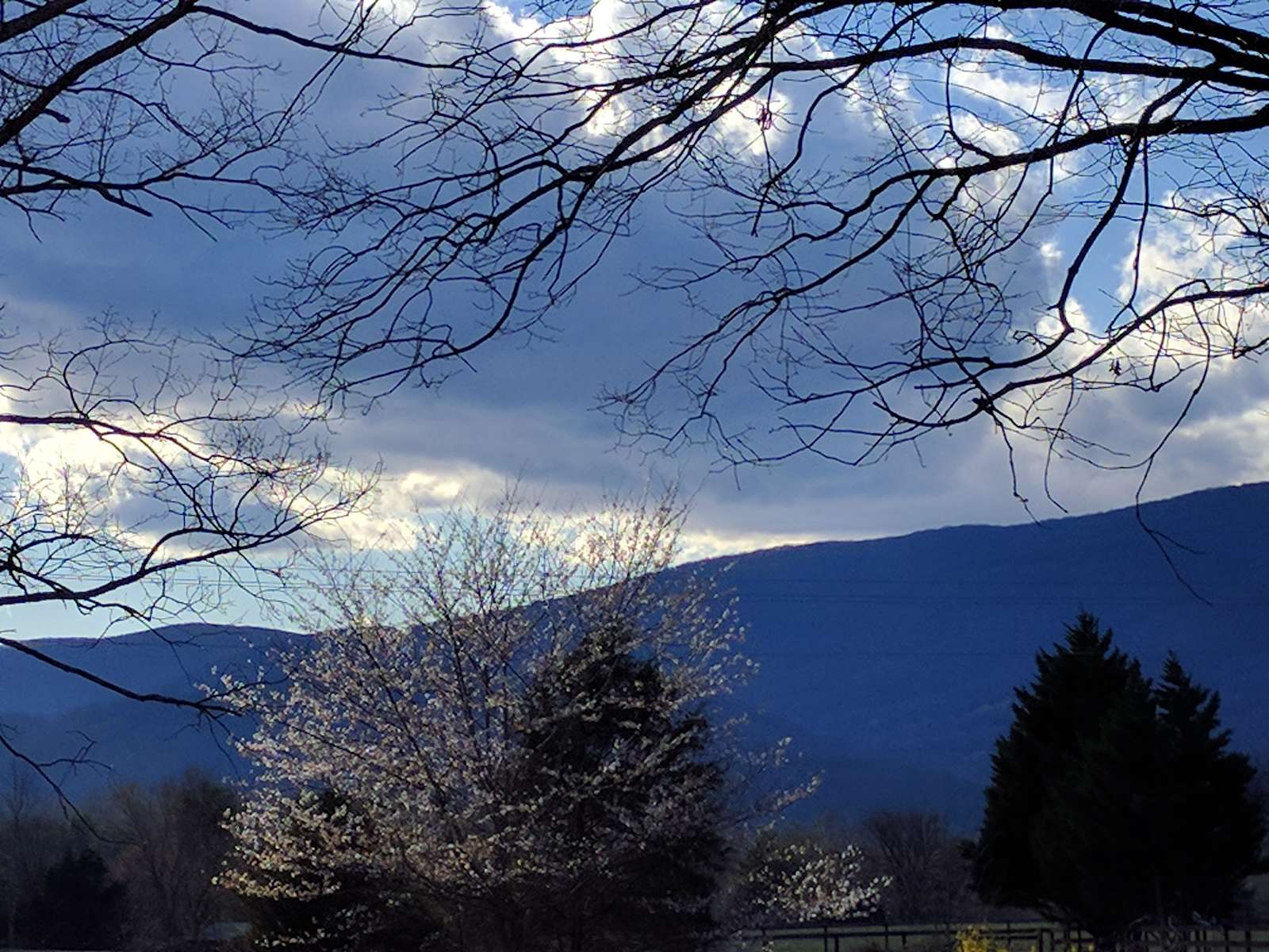 Robin C.’s Land - Hipcamp in Charlottesville, Virginia