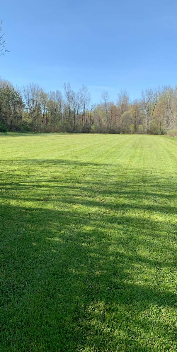 Sherwood Forest Farm Hipcamp in Palmyra, New York