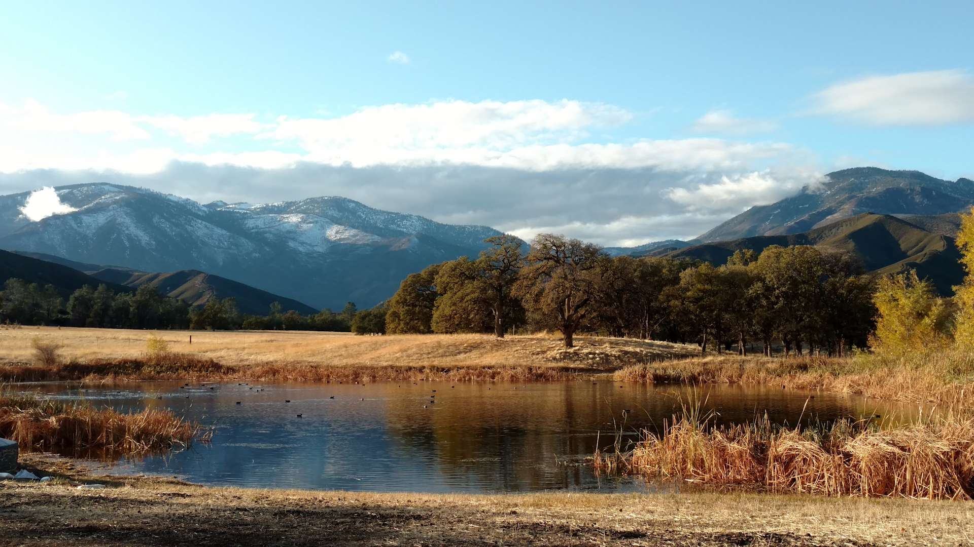 Morning Star Ranch Hipcamp in Stonyford, California