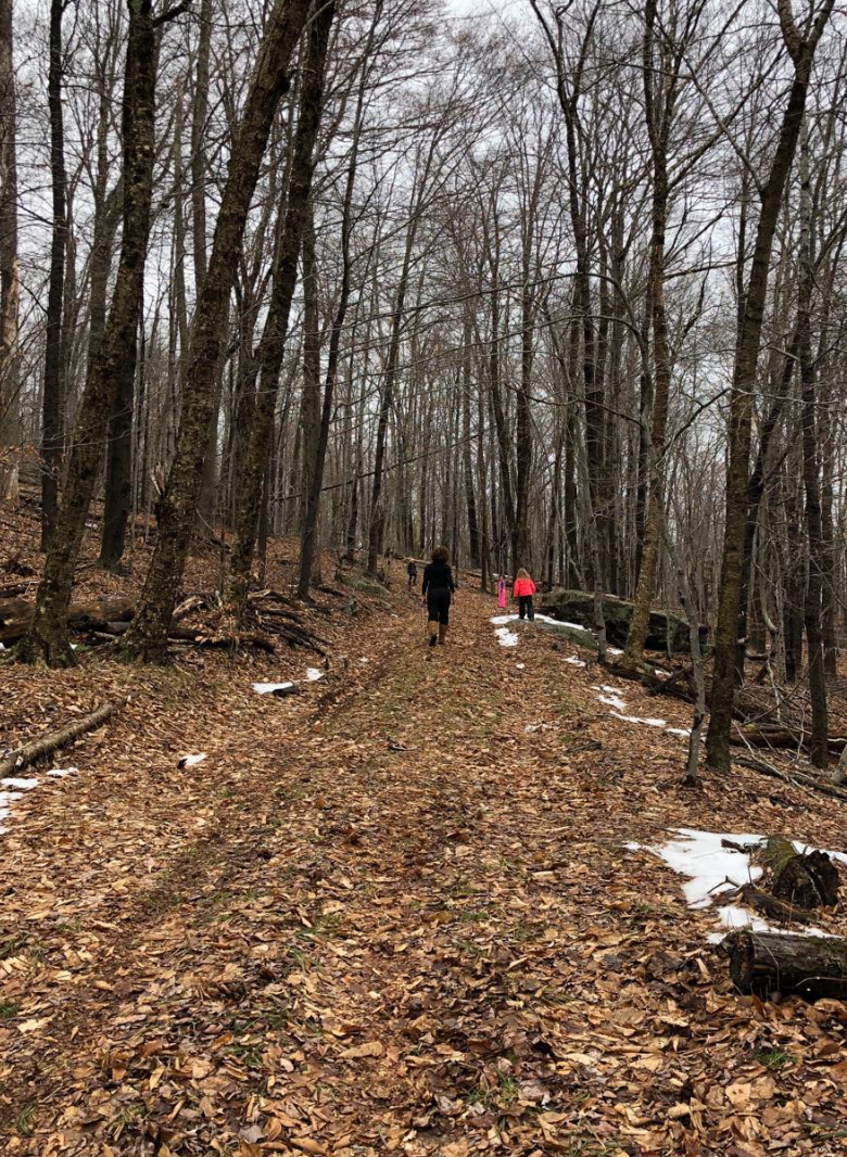 Catskill Forest Backcountry Camping Hipcamp in Denning New York