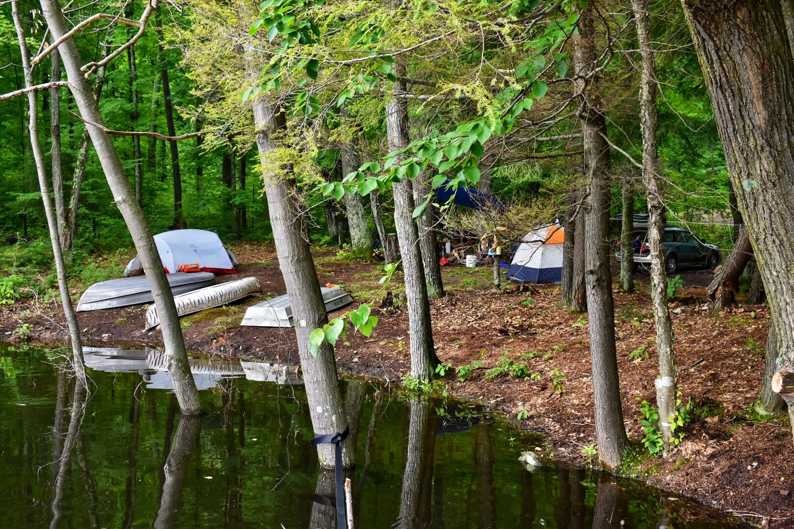 Camp Escape