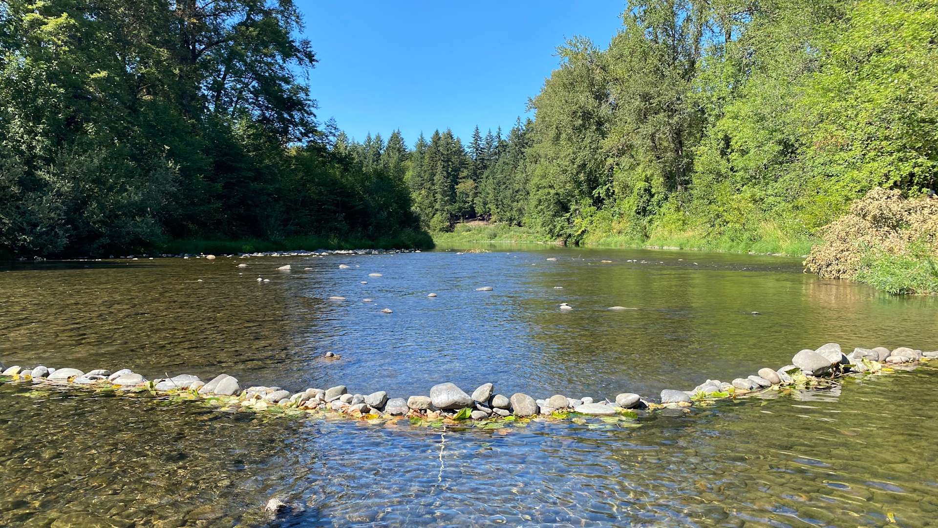 Molalla Ripple Hipcamp in Mulino, Oregon