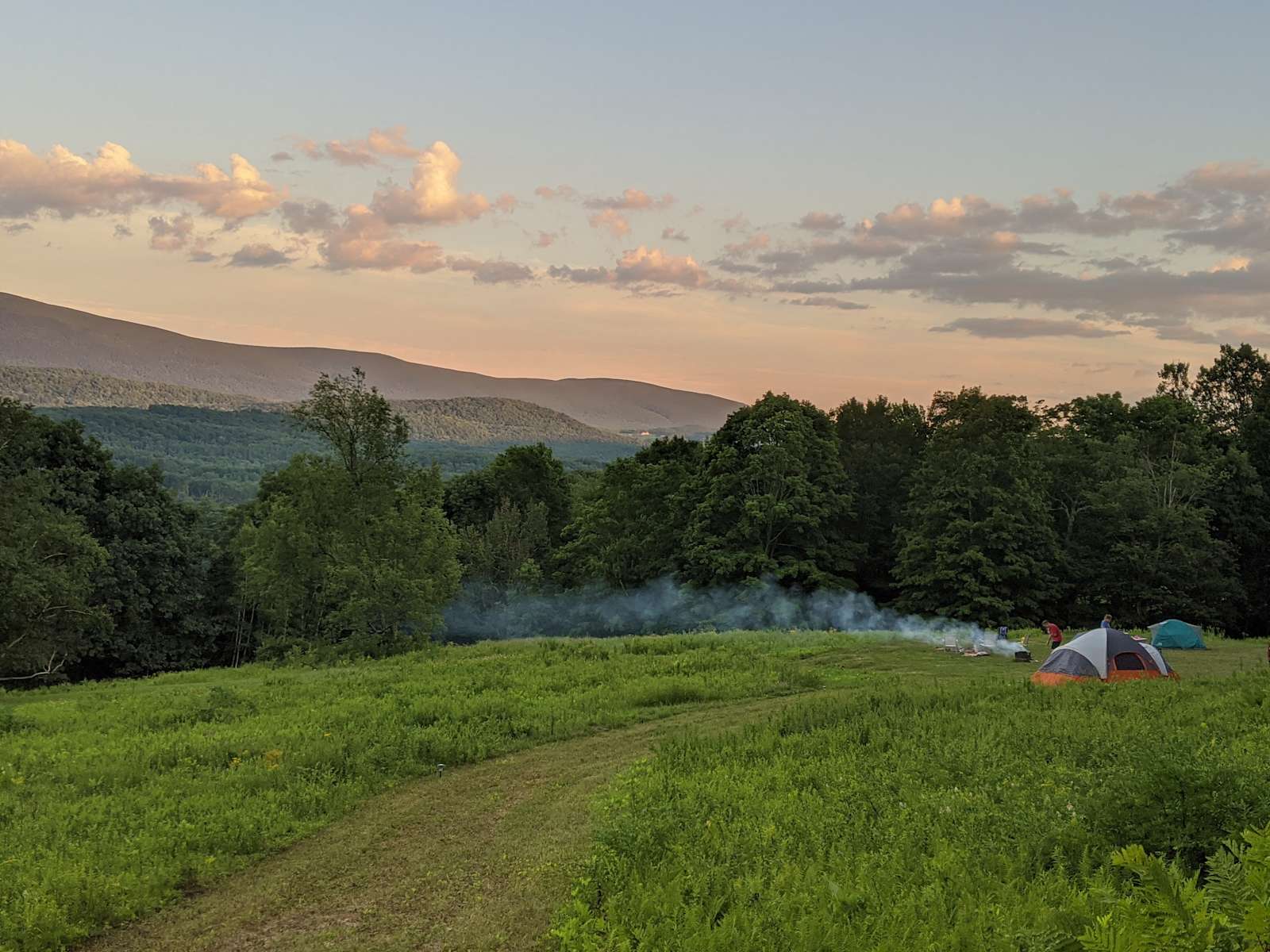 Timber trail top camping