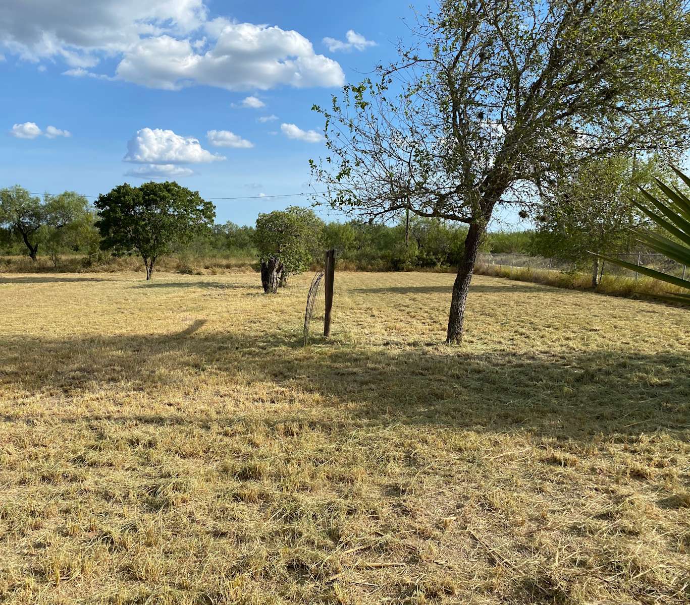 Wildcatter Heirs Hunting Camp Hipcamp in Realitos, Texas