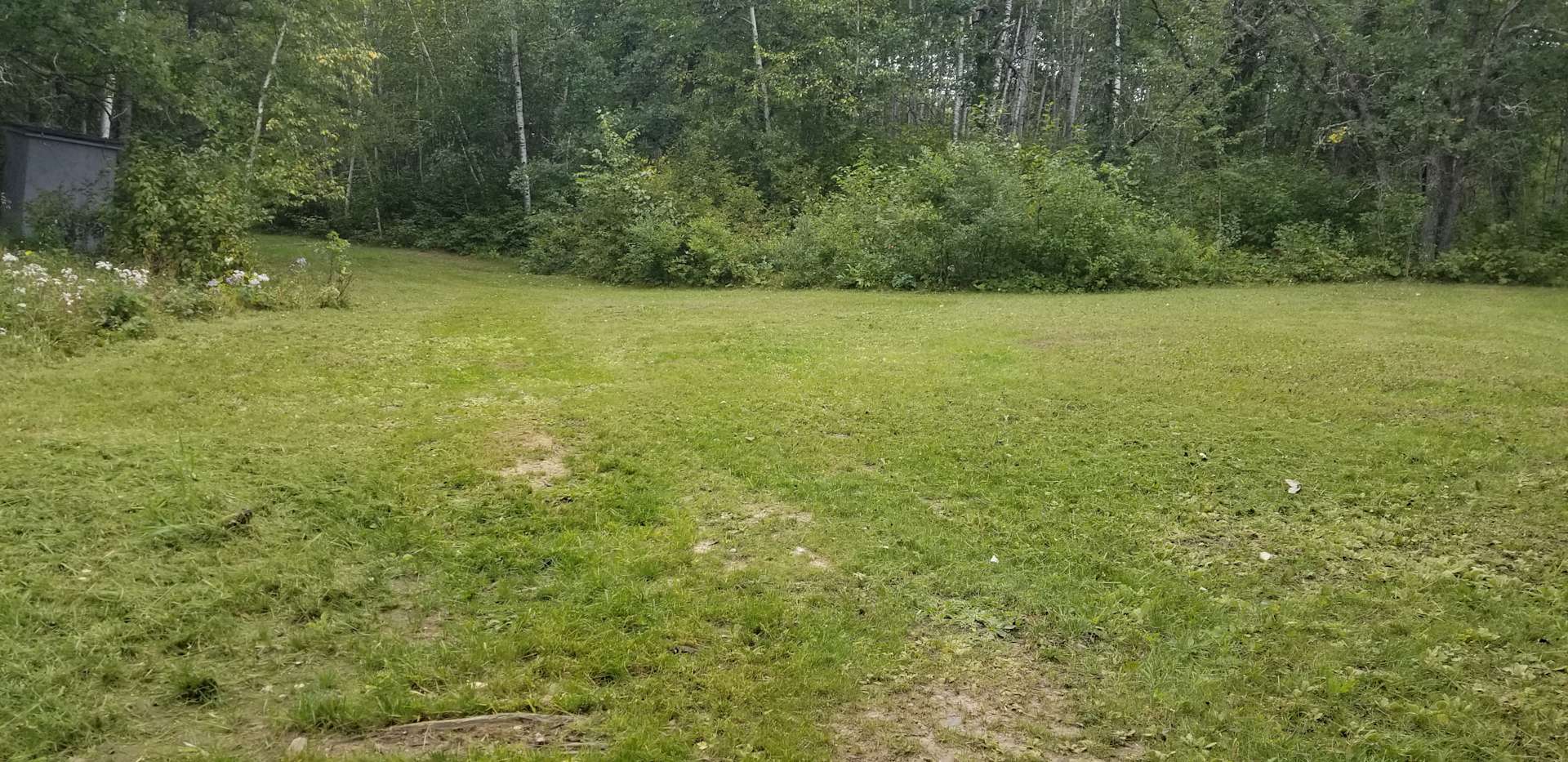 Country Camping Hipcamp in Backus, Minnesota