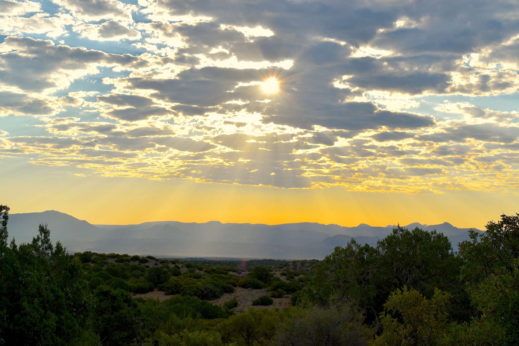 Peaceful primitive camping Hipcamp in Pine Lake, Arizona