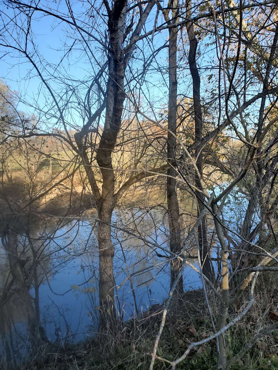 Licking River Farm Camp Hipcamp in Cynthiana, Kentucky