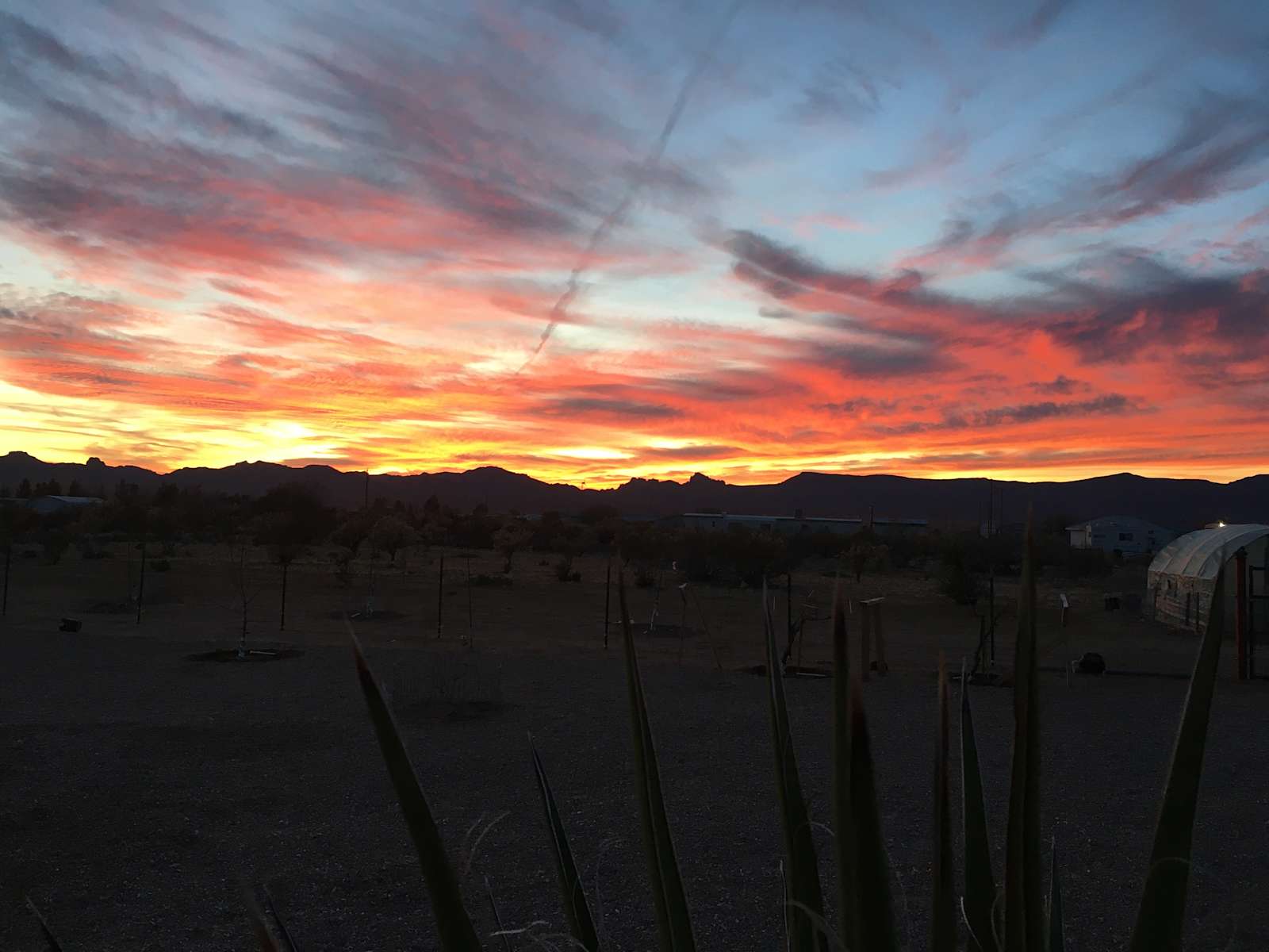 Flat desert. Hipcamp in Golden Valley, Arizona