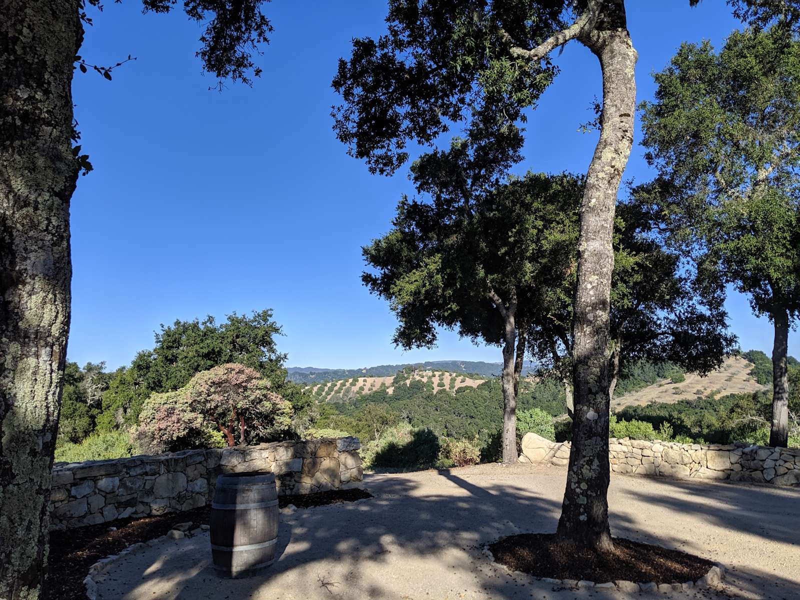 Oak Heart Estate - Photo 2