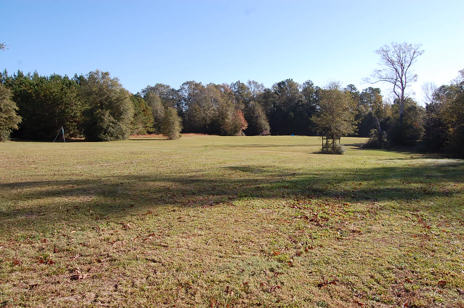 Big Thicket Camping Hipcamp in , Texas