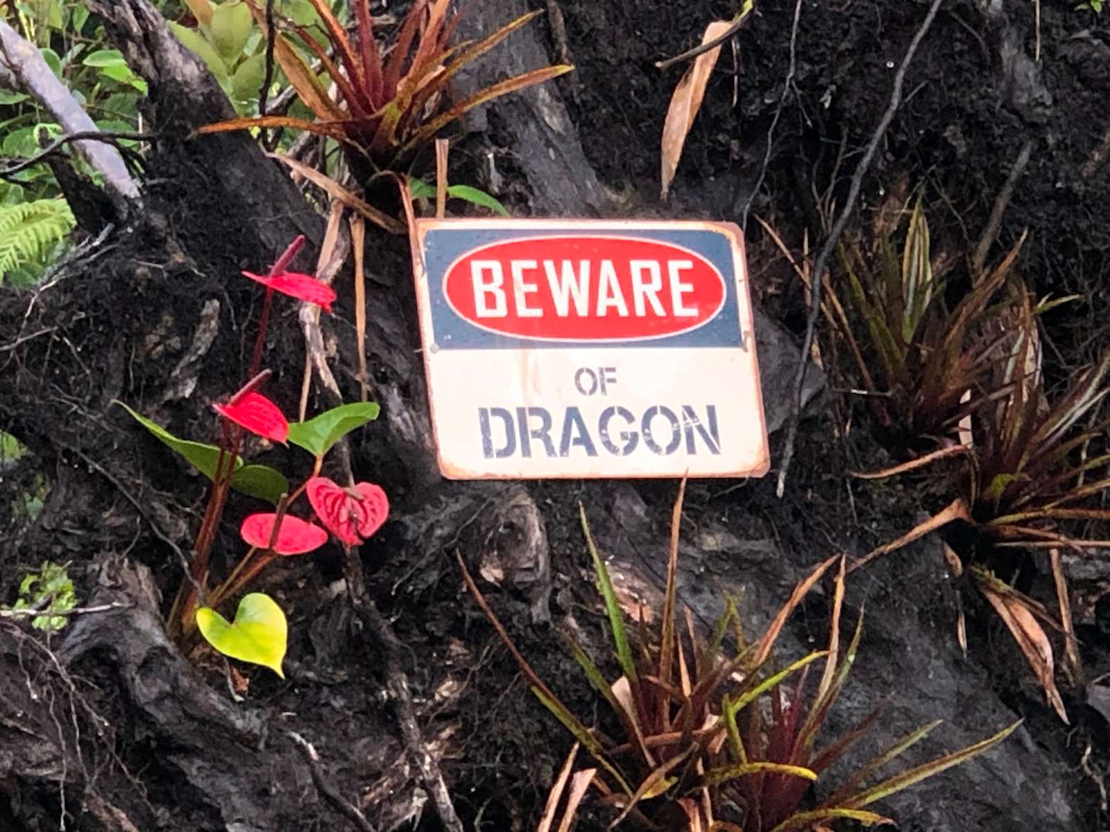 Mocean View Inn Hipcamp in Eden Roc, Hawaii