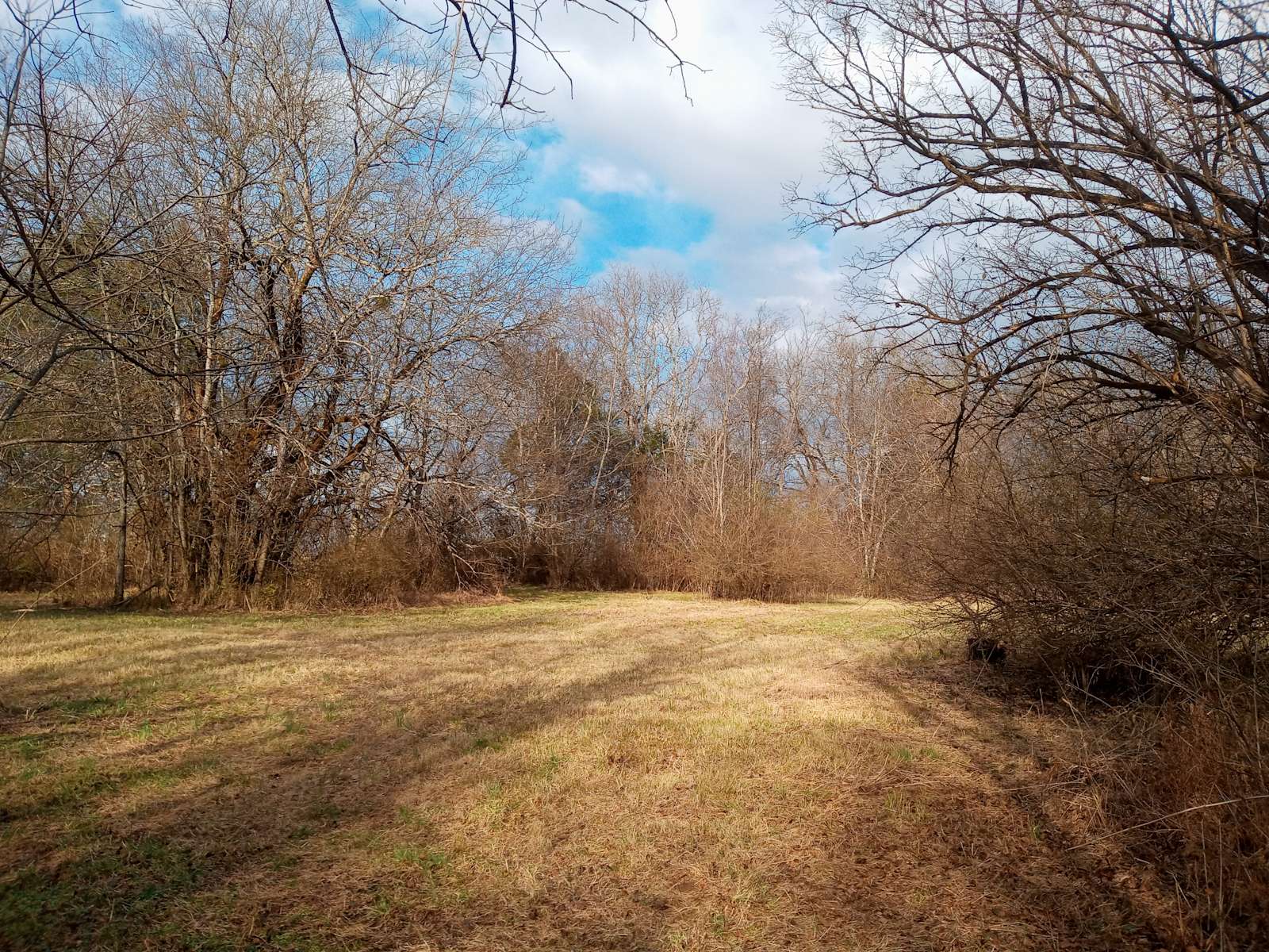 Kiahna B.'s Land - Hipcamp in Gallatin, Tennessee