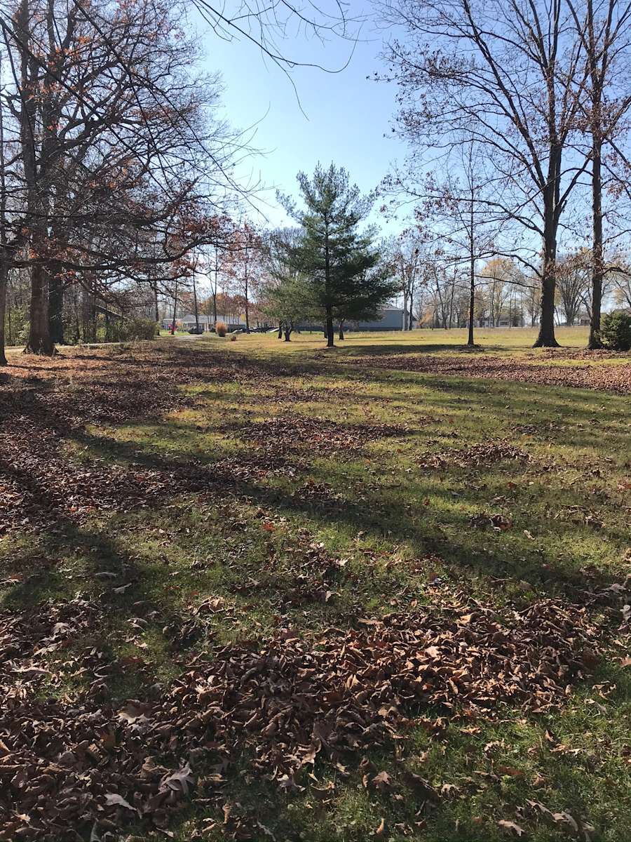 Trey B.’s Land Hipcamp in Ludlow Falls, Ohio