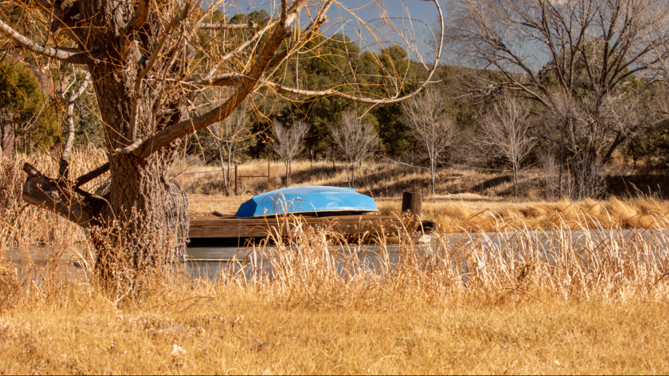 Agua de Vida - Photo 3