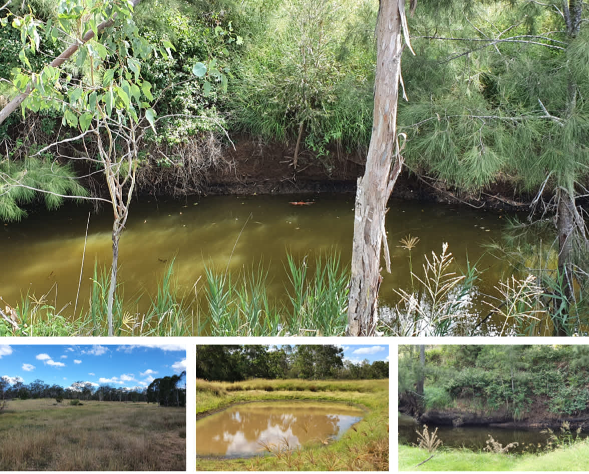 Yarraman Camp with your Horse Hipcamp in Yarraman, Queensland