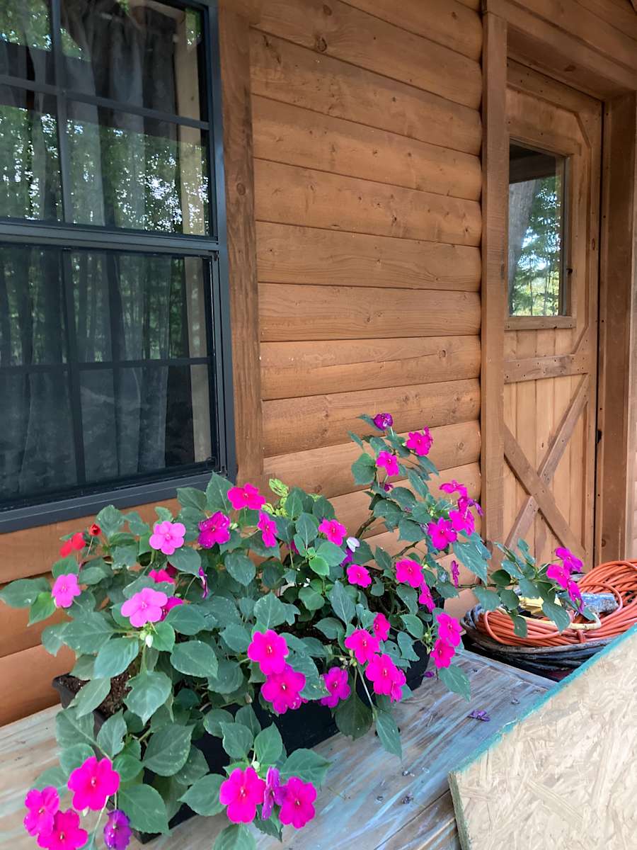 Faith Acres Farm Cabin Hipcamp in Butler, Kentucky