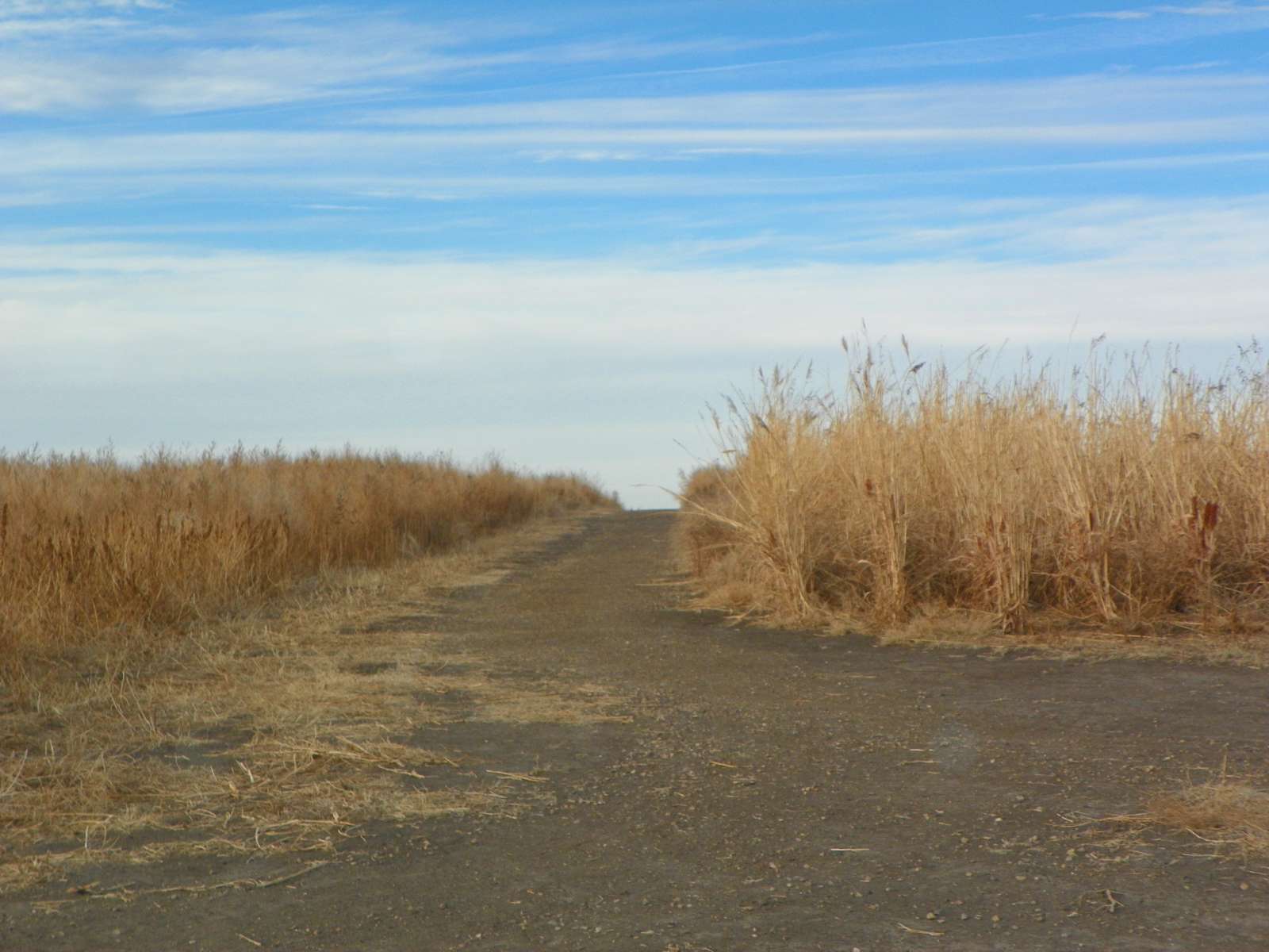Serenity Fields Hipcamp in Kimball, South Dakota