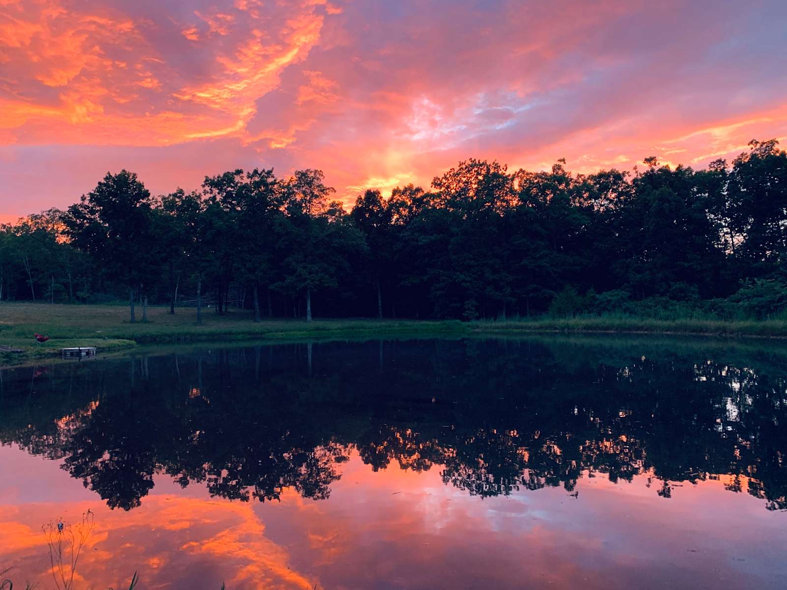 Bent tree farms Hipcamp in Falcon, Missouri