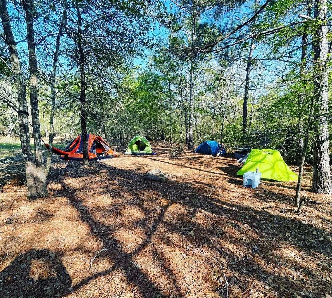 Briers Ranch Primitive Camping Hipcamp in Anderson Texas