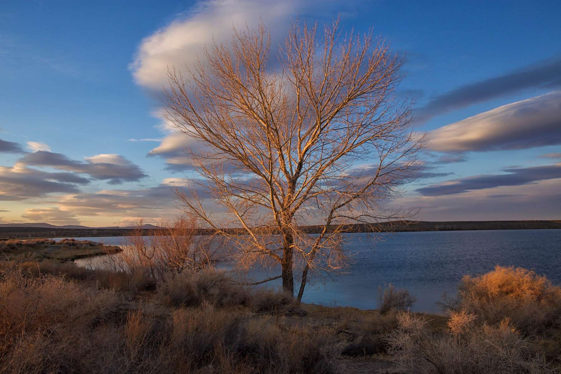 Soda lake oasistent site Hipcamp in Fallon, Nevada