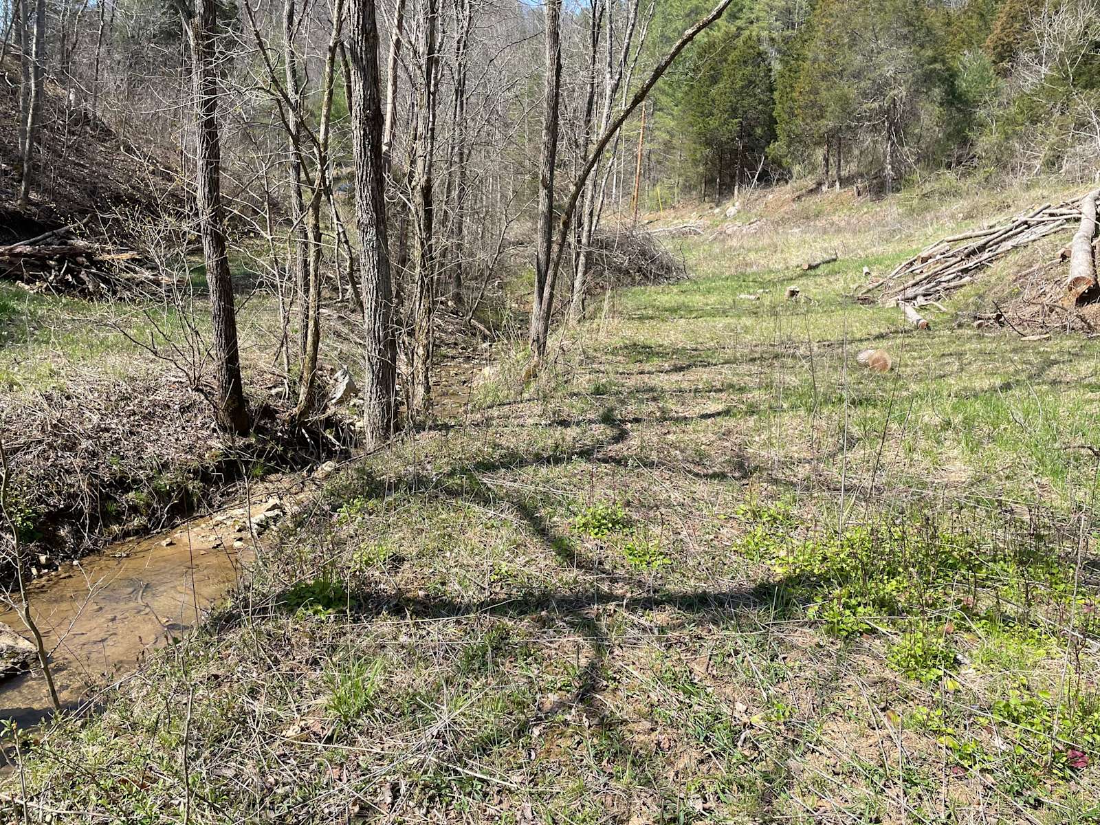 Field at creek, or mountain top. Hipcamp in Elliston, Virginia