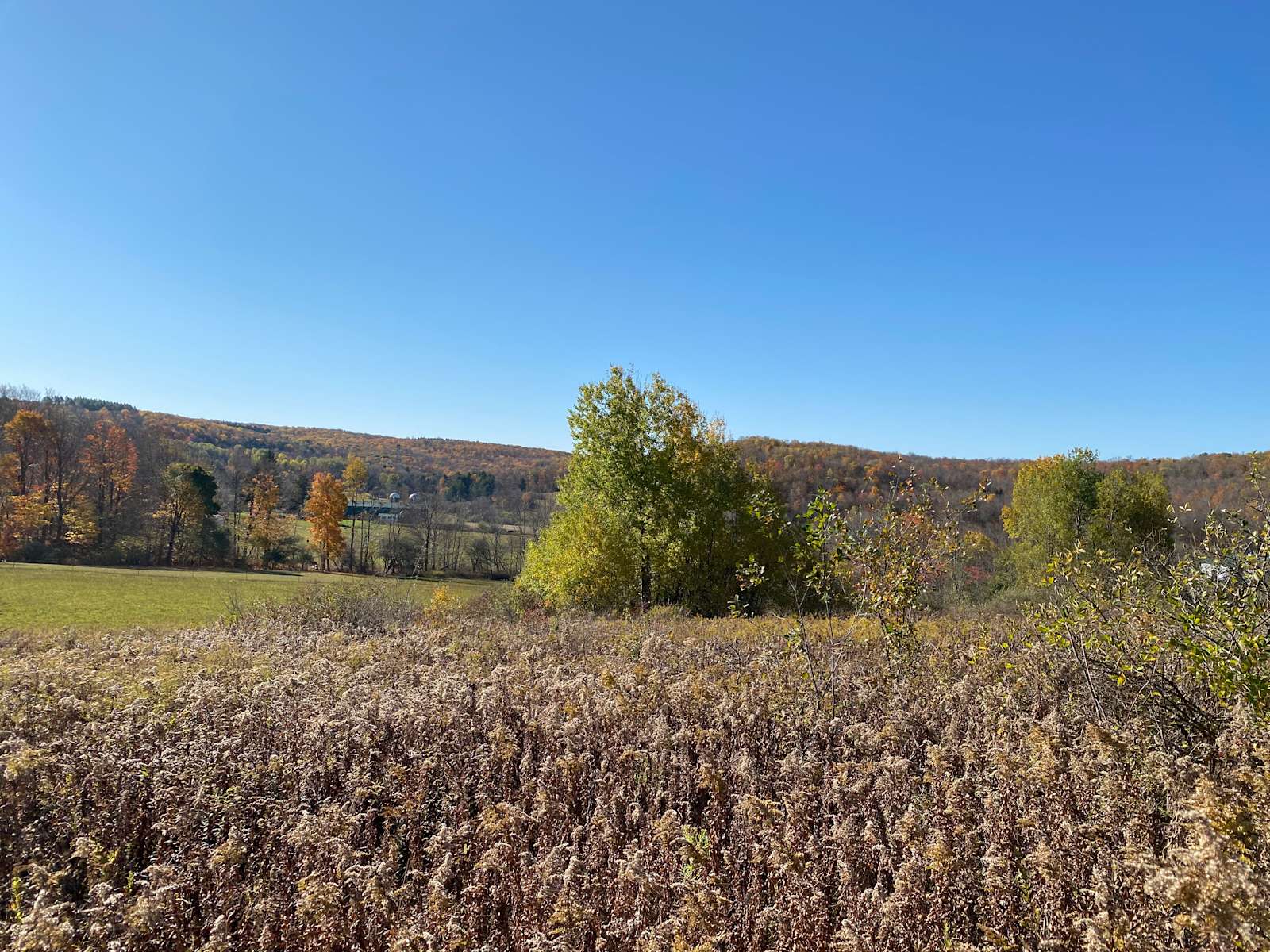 Wright Estate Hipcamp in Machias, New York