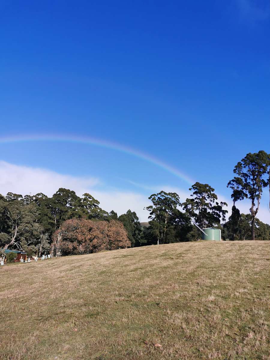 The Top Paddock Hipcamp in Yolla, Tasmania