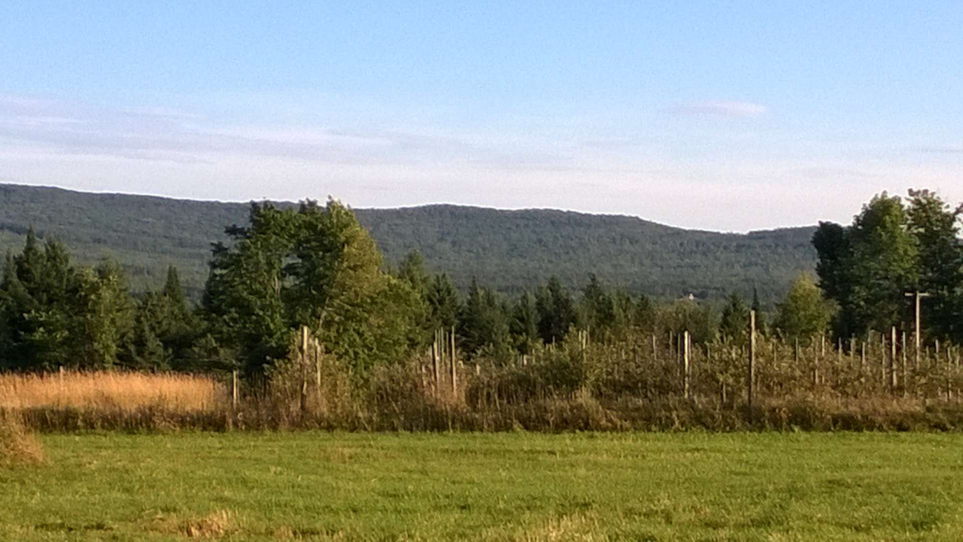 Eden Orchards Hipcamp in Charleston, Vermont