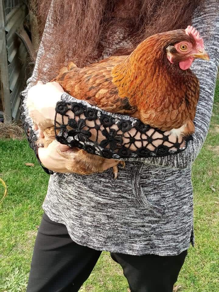 Gulley homestead Hipcamp in Eastman,