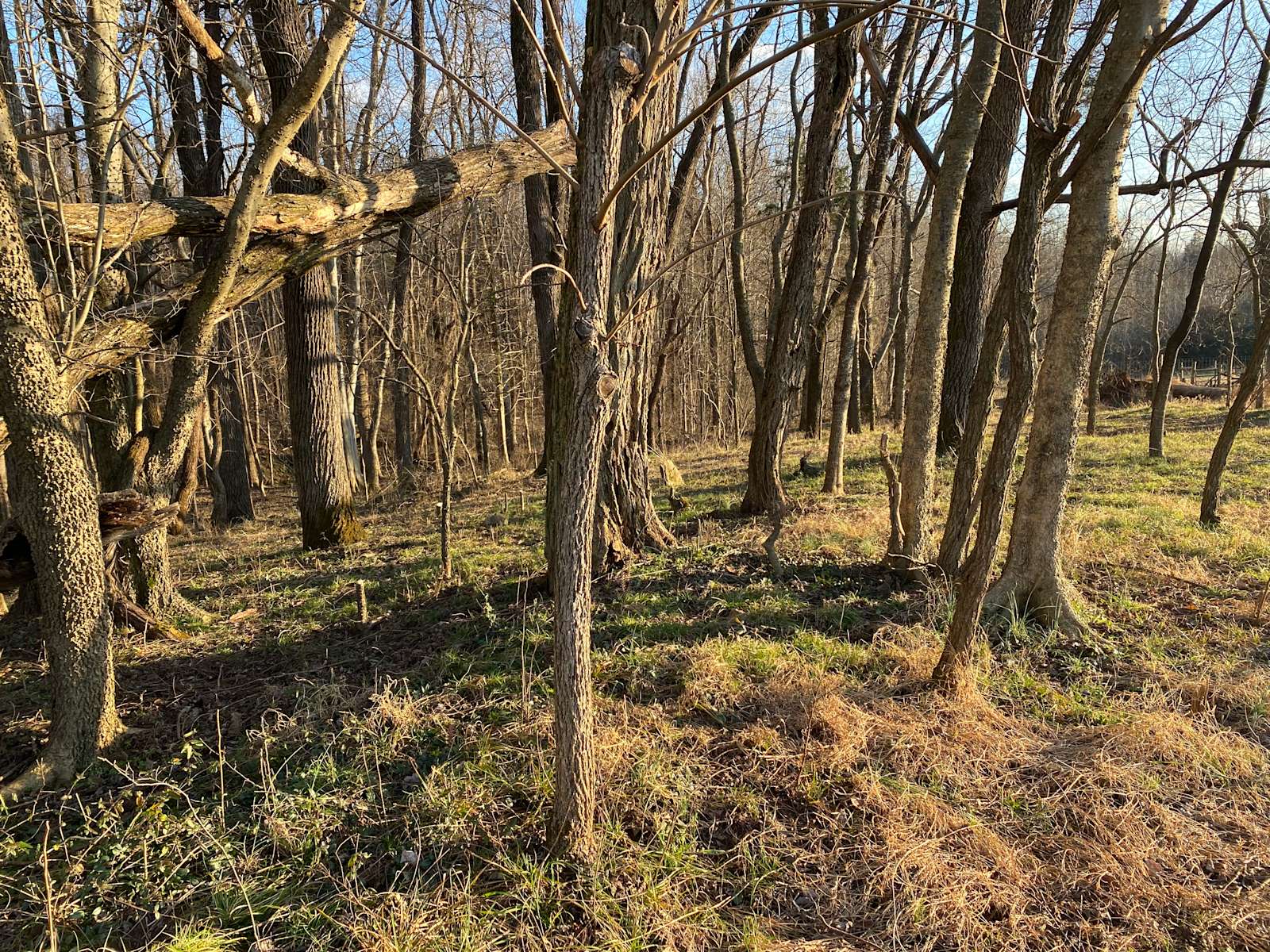 Camping at Cloverdale Farms Hipcamp in Cartersville, Virginia